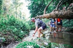 BIB: 
                            <button type="button" onclick="openModal(25458283)" class="btn btn-primary btn-sm float-right btn-popup" data-toggle="modal" data-target=".modal-high-quality">
                        <i class="fas fa-shopping-cart"></i> Add to Cart
                    </button>
                                            <button type="button" onclick="isThisMe(25458283, true)" class="btn btn-success btn-sm float-right btn-popup btn-isme hidden" data-toggle="tooltip" data-placement="bottom" title="นี่คือรูปของคุณใช่ไหม คลิกที่นี่เพื่อเอาเข้าอัลบั้ม">
                        <i class="fas fa-plus"></i> Add to album
                    </button>
                    <button type="button" onclick="isThisMe(25458283, false)" class="btn btn-warning btn-sm float-right btn-popup btn-isnotme hidden">
                        <i class="fas fa-ban"></i> Remove from album
                    </button>